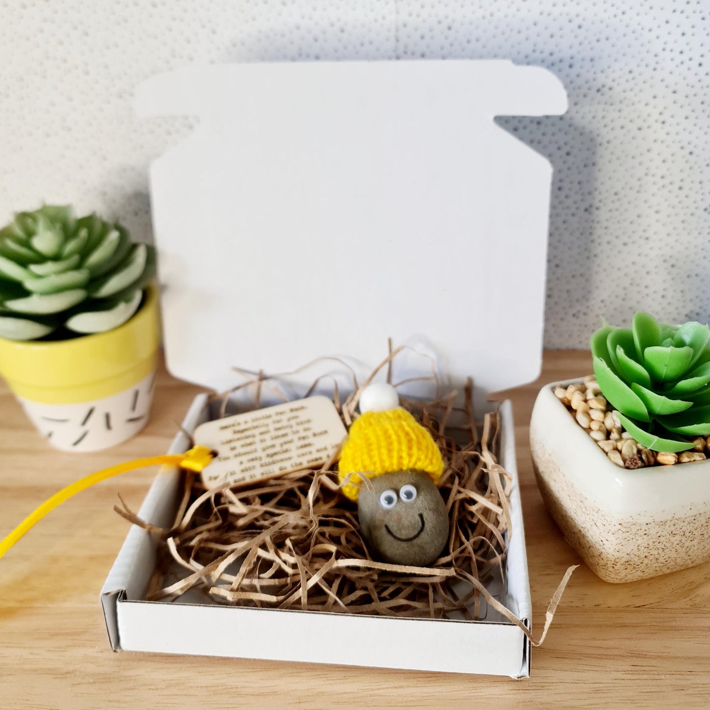 Pet Rock/ Well being/ Anxiety Gift