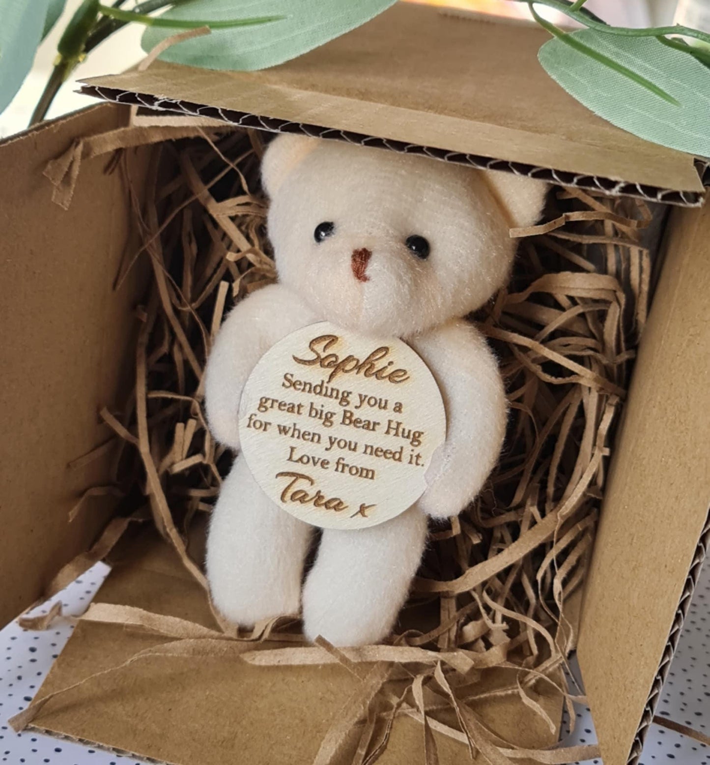 Bear in a Box/ Pocket Bear/ Well being/ Anxiety