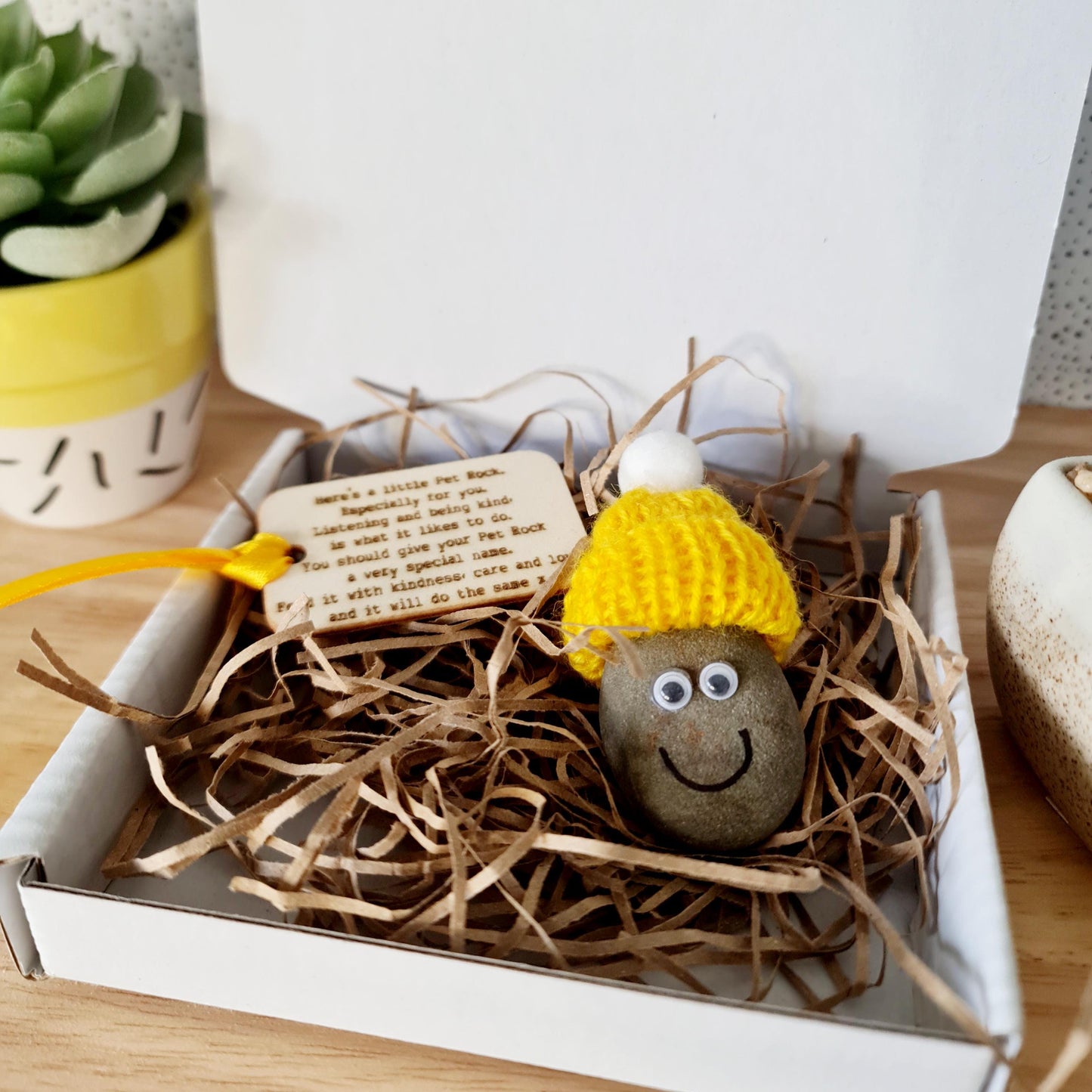 Pet Rock/ Well being/ Anxiety Gift