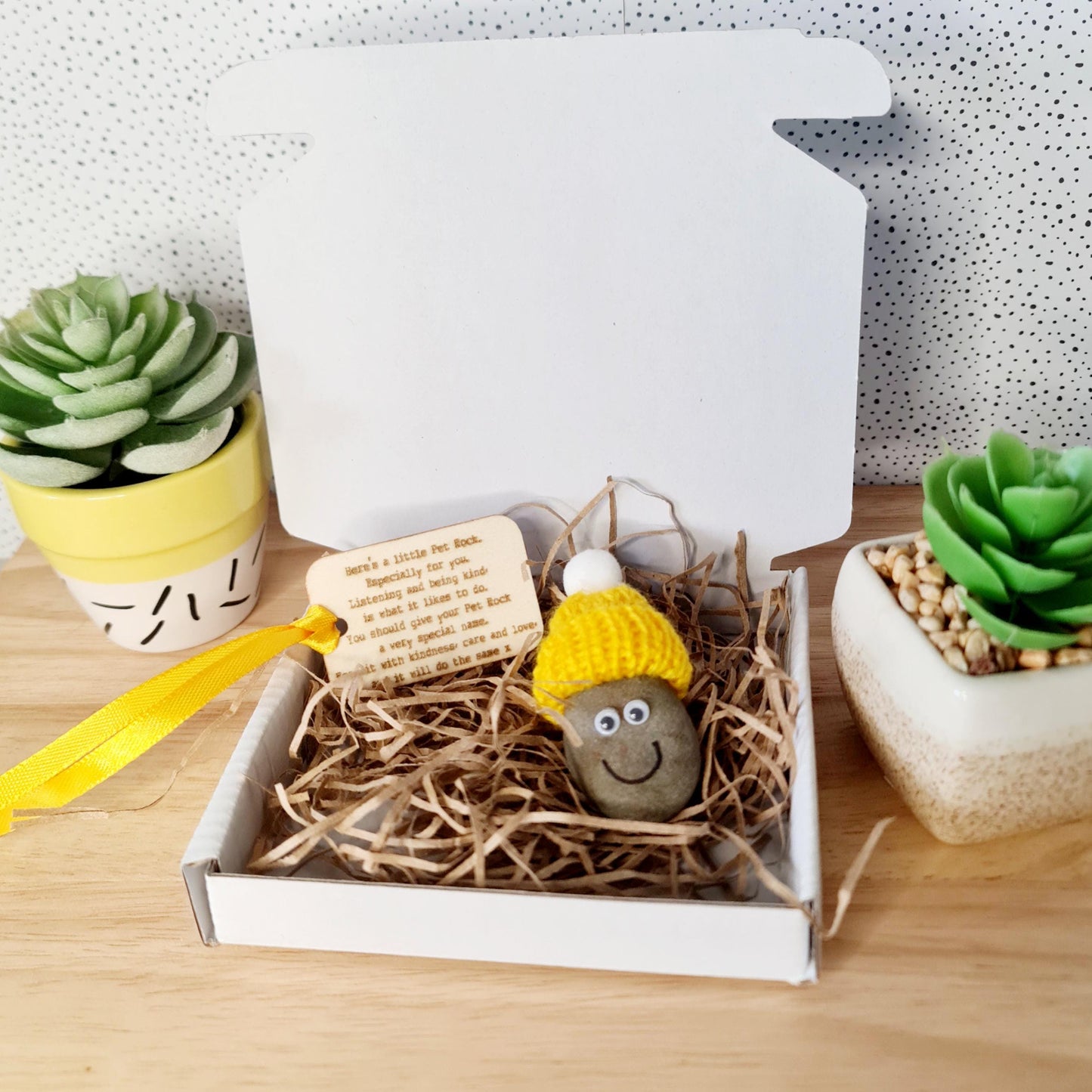 Pet Rock/ Well being/ Anxiety Gift